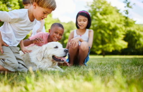 5 motivos pelos quais ter um animal de estimação ajuda no desenvolvimento infantil